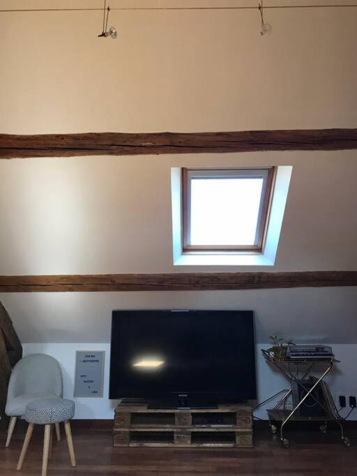 Charming In Center Appartement Dijon